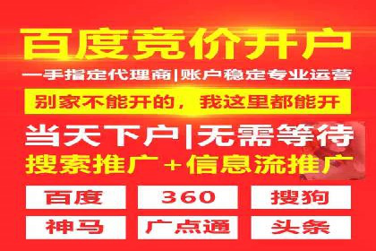 行业领先企业的SEM推广代运营实战经验